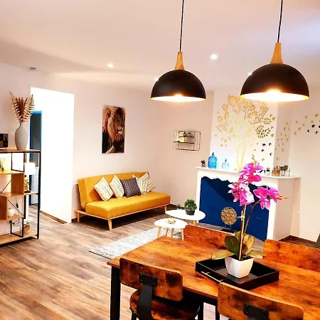 Le Saphire St Affrique Hyper Centre סן-אפריק